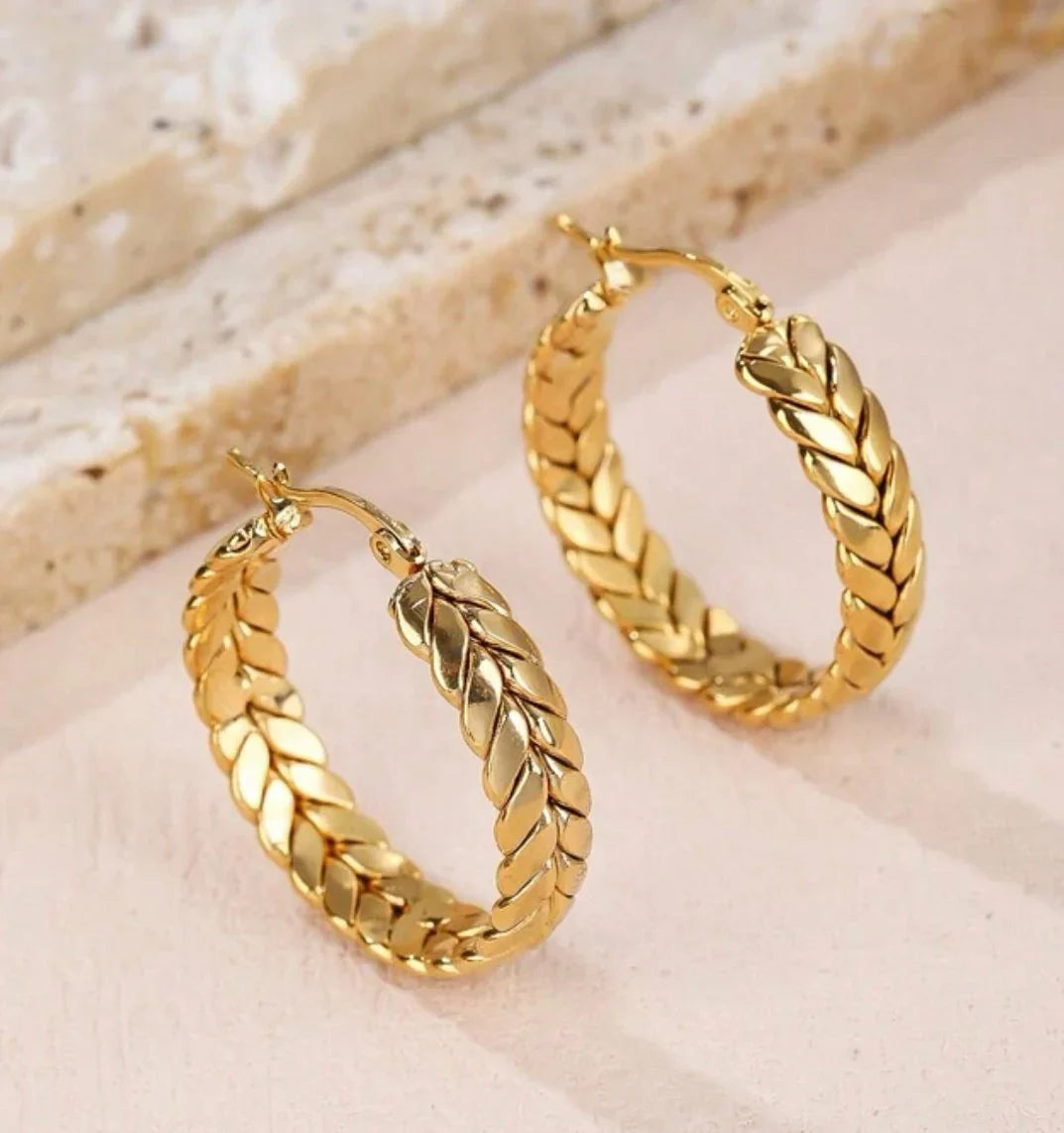 Earrings